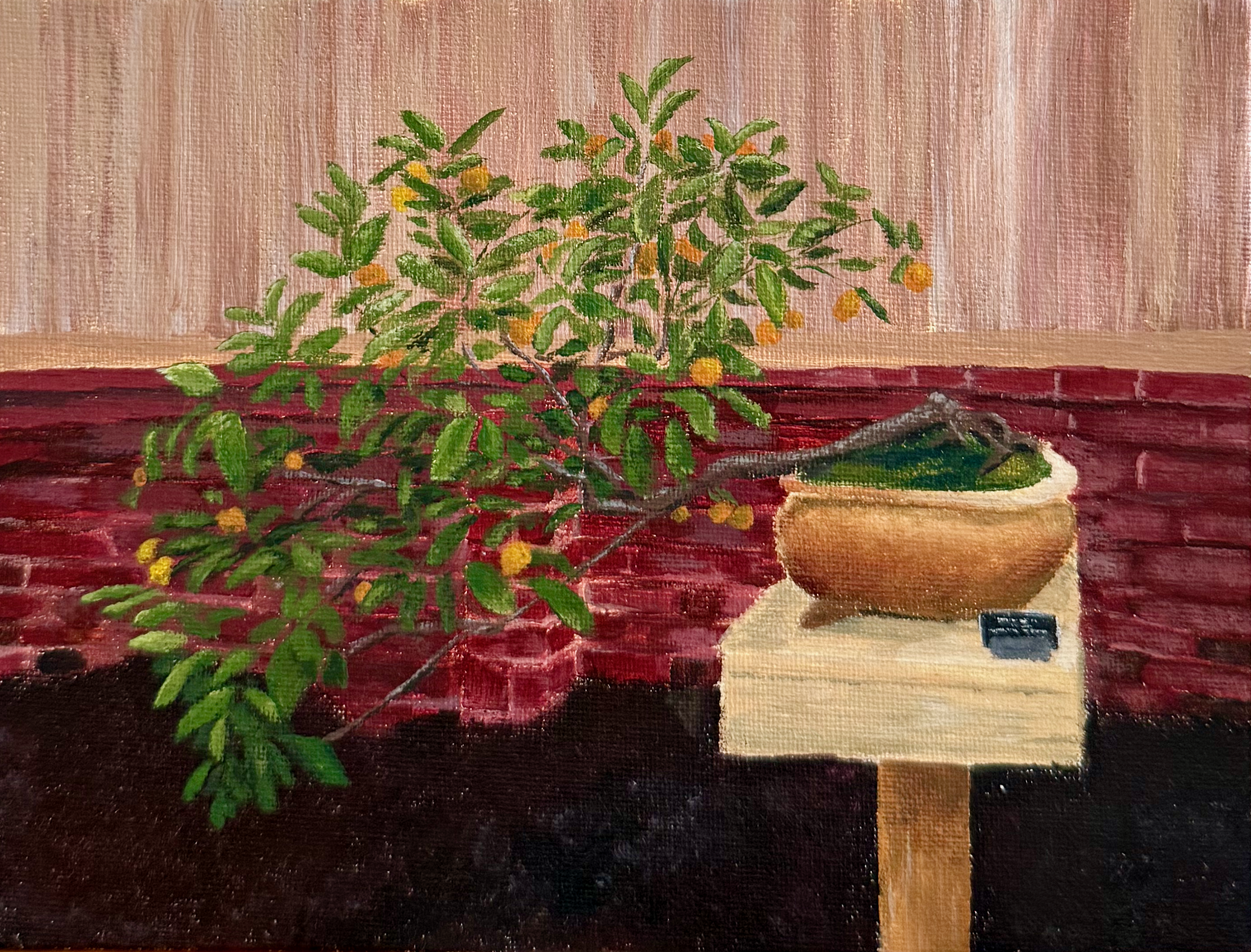 Mini canvas acrylic painting of a Calamondin Orange bonsai tree on display at Phipps Conservatory in Pittsburgh, PA. March 2025.