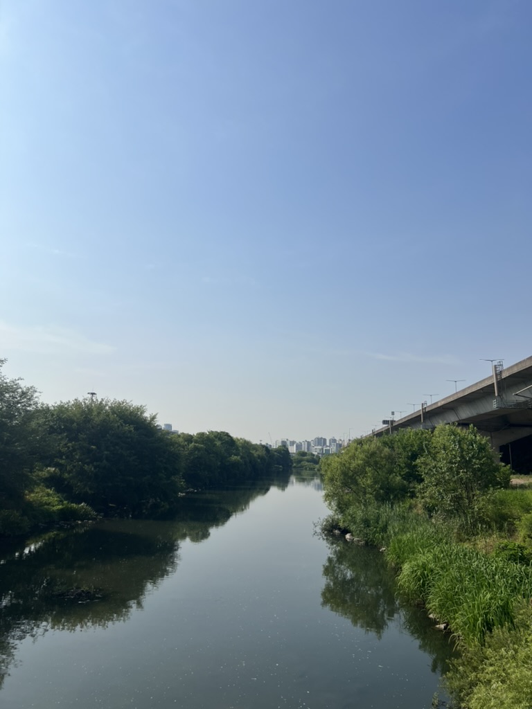 A view of the Cheonggyecheon Stream in Seoul, South Korea.